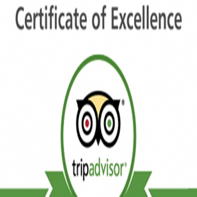 How is about clients reviews about us on Tripadvisor