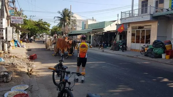 Southern India - Karala Cycling Tour - 10 Days