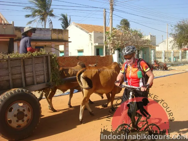 Hoian Biking To Ho Chi Minh City - 8 days