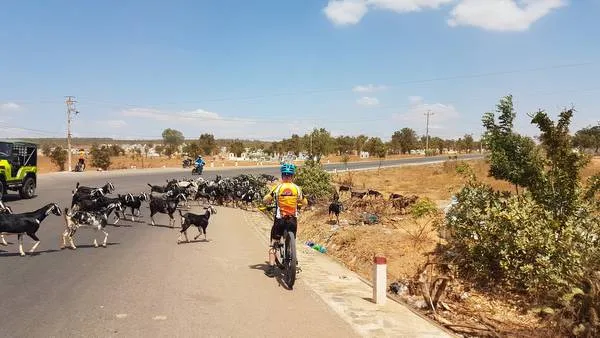 Laos Border Cycling To Siem Reap - 11 Days