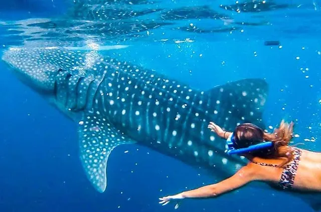 13 Days Philippines Adventure Holiday (Manila - Bohol - Cebu - Coron)